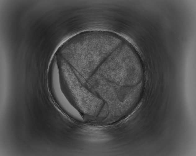 X0000084560982200703231755