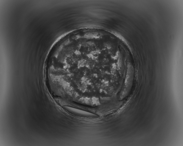 X0000084560983200703231755