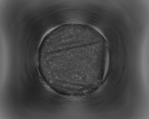 X0000084560987200703231755