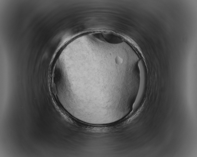 X0000084560989200703231755