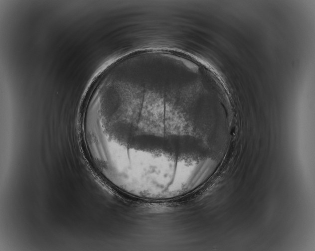 X0000084560990200703231755