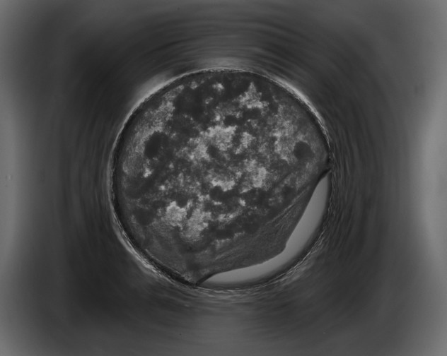 X0000084560991200703231755