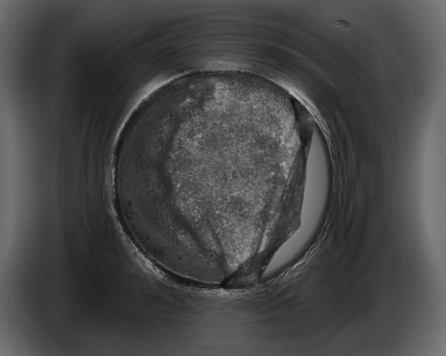 X0000084560992200703231754