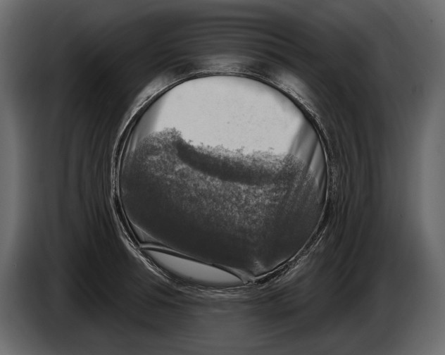 X0000084560994200703231754