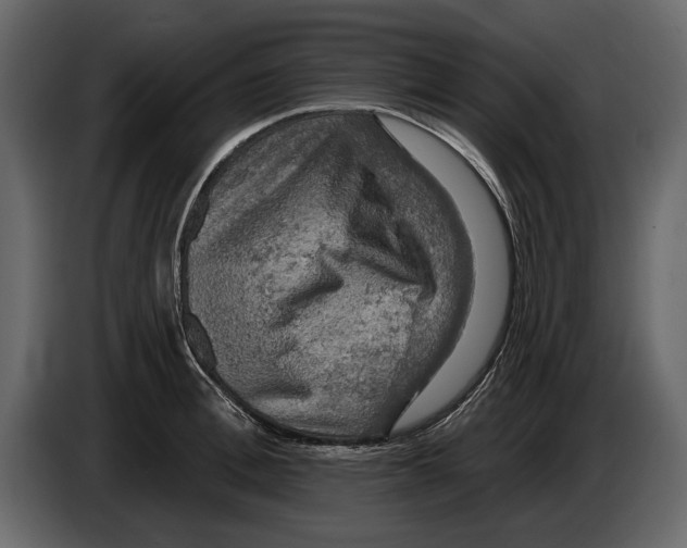 X0000084560996200703231754