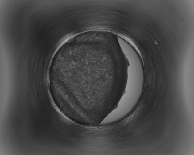 X0000084560999200703231754