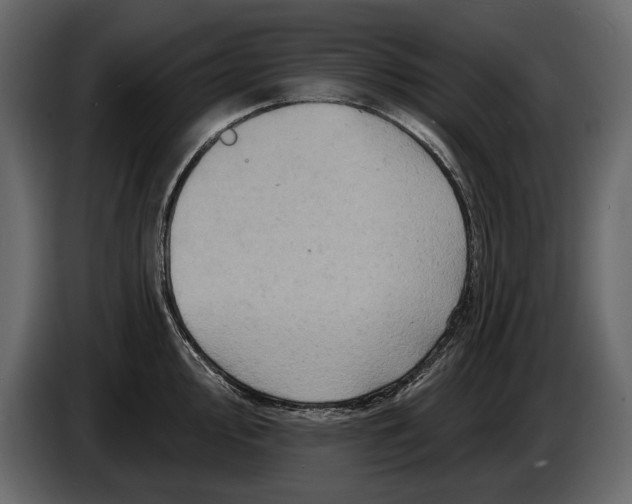 X0000084561000200703231754