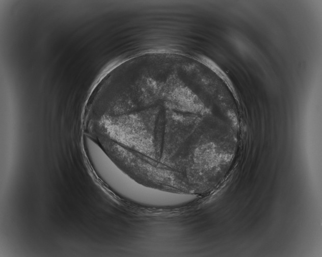 X0000084561002200703231754