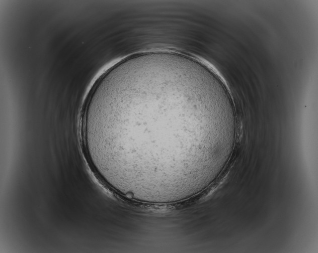 X0000084561003200703231754