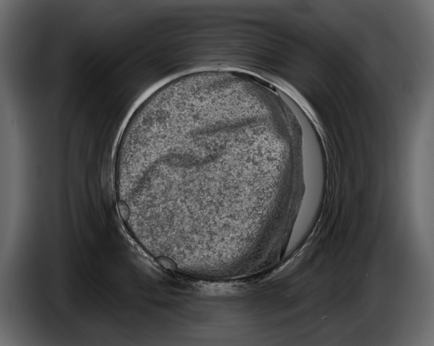 X0000084561004200703231754