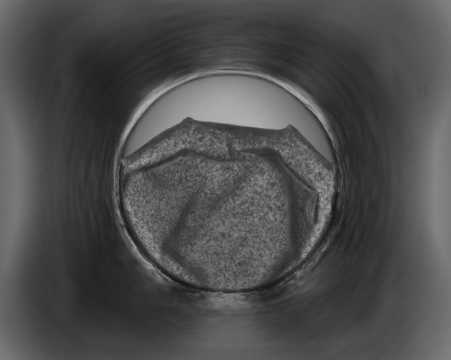 X0000084561006200703231754