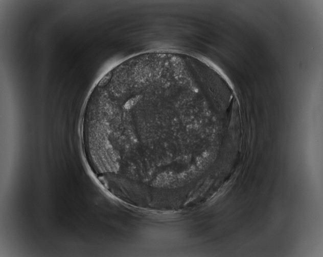 X0000084561007200703231754