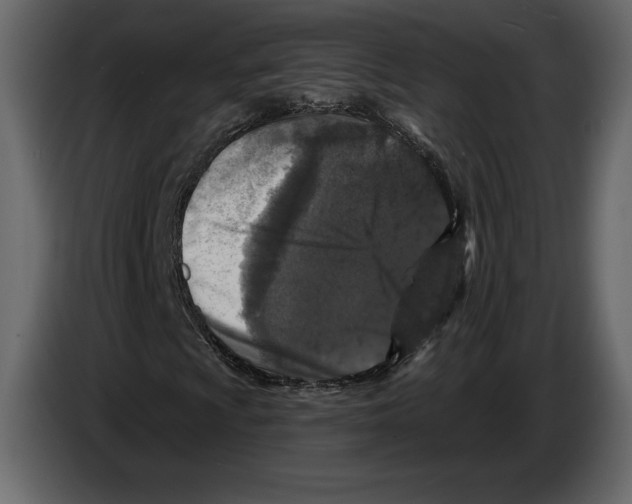 X0000084561009200703231754