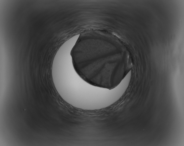 X0000084561010200703231754