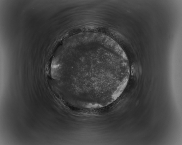 X0000084561011200703231754