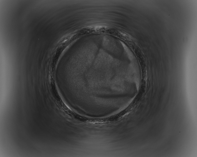 X0000084561014200703231754