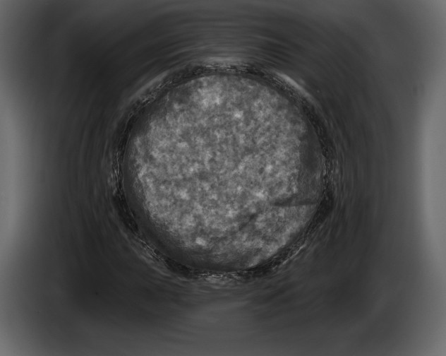 X0000084561015200703231754