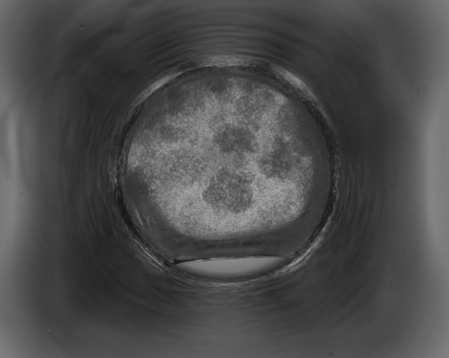 X0000084561017200703231754