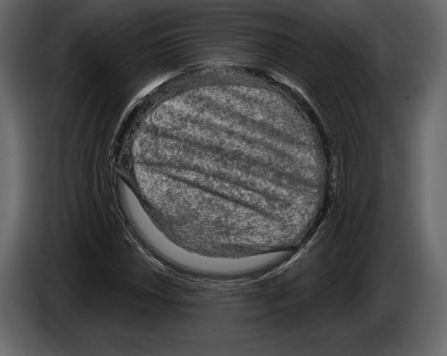 X0000084561018200703231754