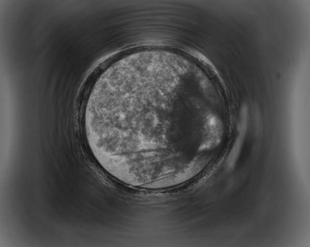 X0000084561019200703231754