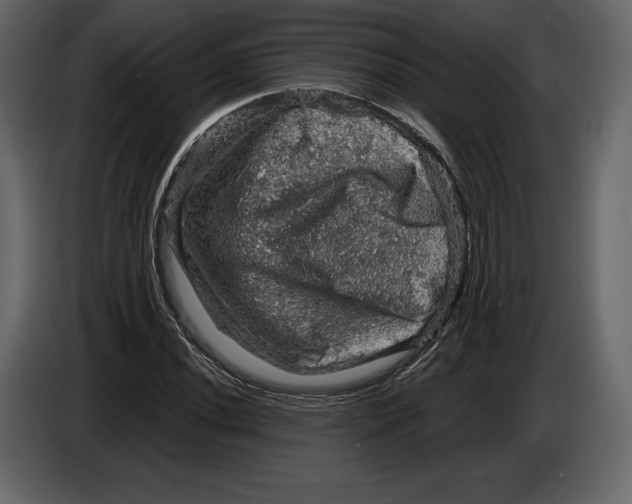 X0000084561020200703231754