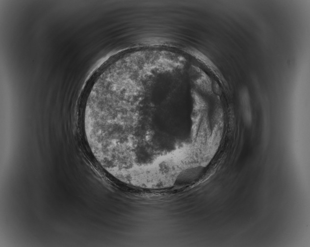 X0000084561023200703231754