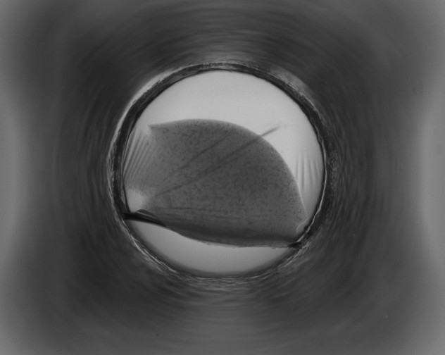 X0000084561024200703231754