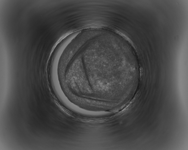 X0000084561026200703231754