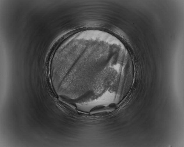 X0000084561027200703231754