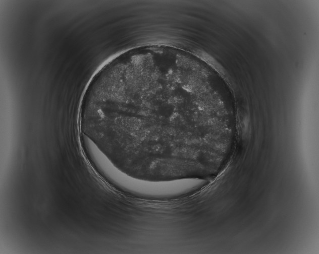 X0000084561028200703231754