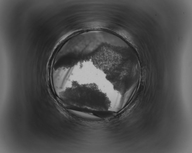 X0000084561031200703231754