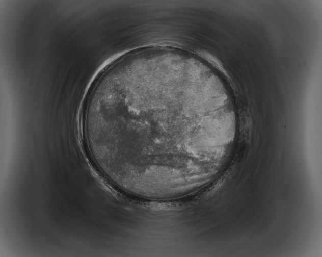 X0000084561032200703231754