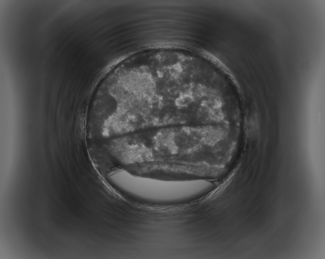 X0000084561033200703231754