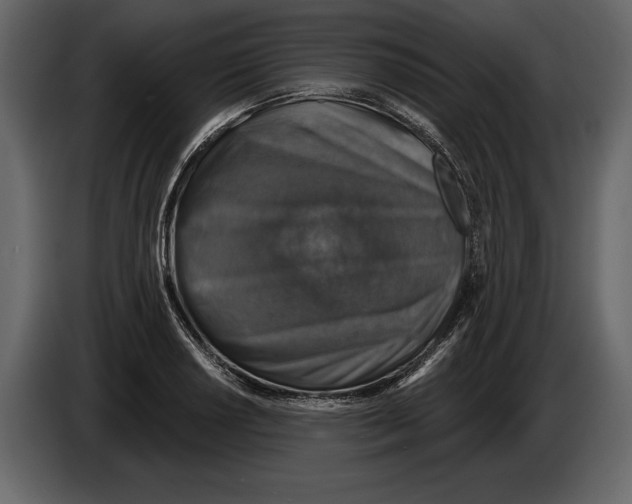 X0000084561034200703231754