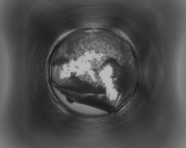 X0000084561035200703231754