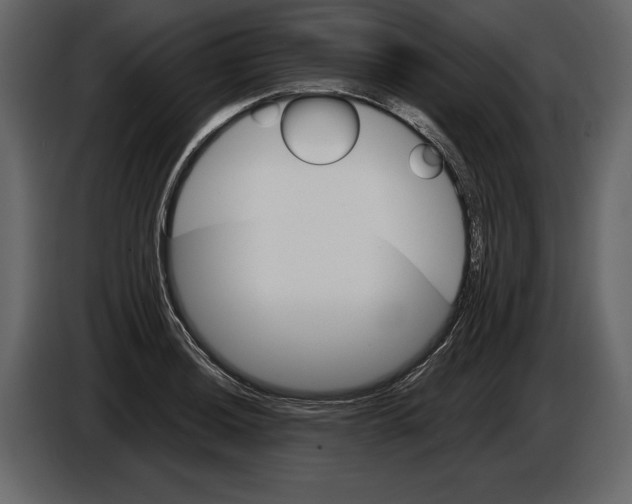 X0000084561036200703231754