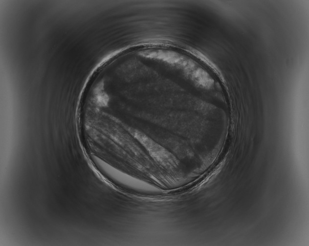 X0000084561037200703231754