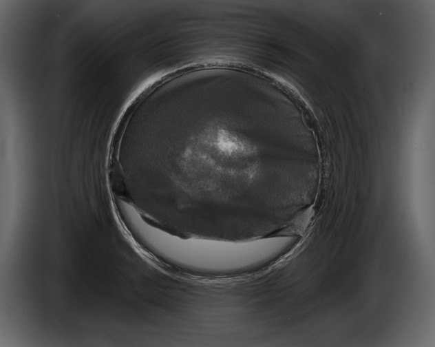 X0000084561038200703231754