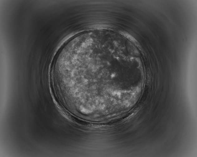 X0000084561039200703231754