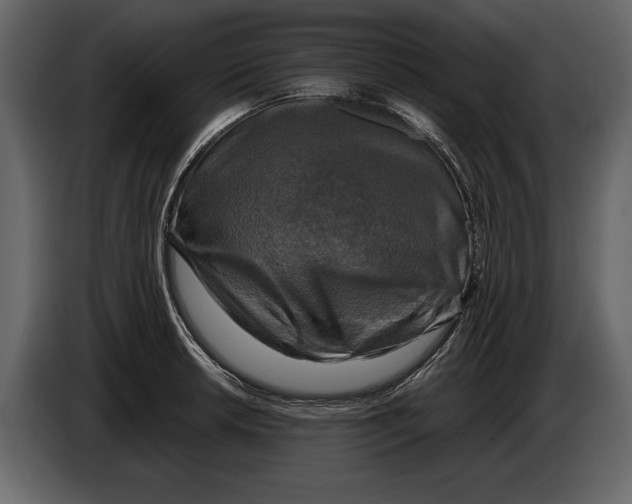 X0000084561042200703231754