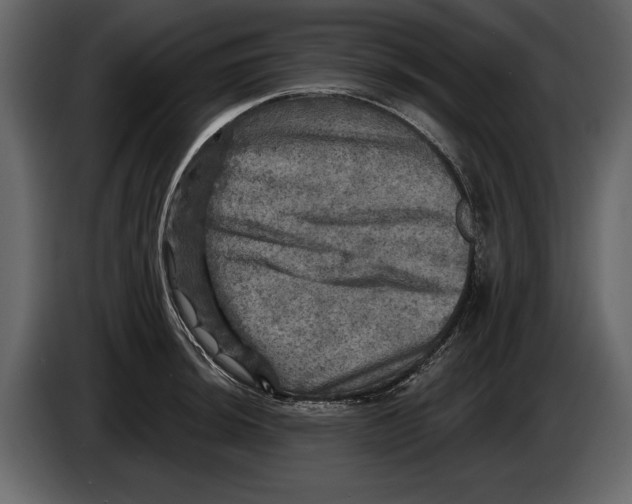 X0000084561044200703231754