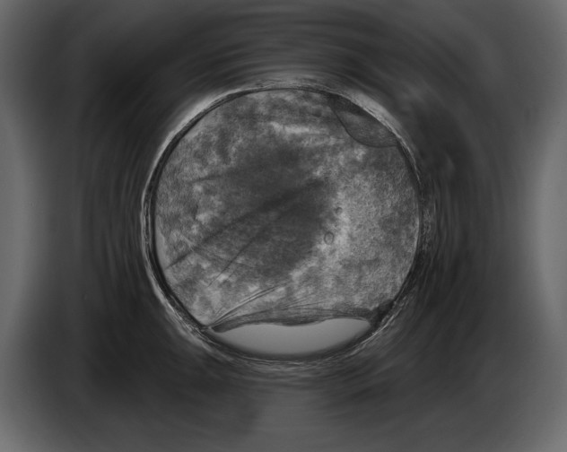 X0000084561047200703231754