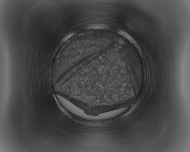 X0000084561049200703231754