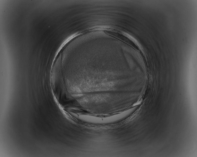 X0000084561050200703231754