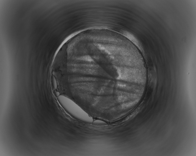 X0000084561052200703231754