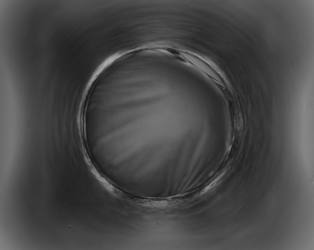 X0000084561054200703231754