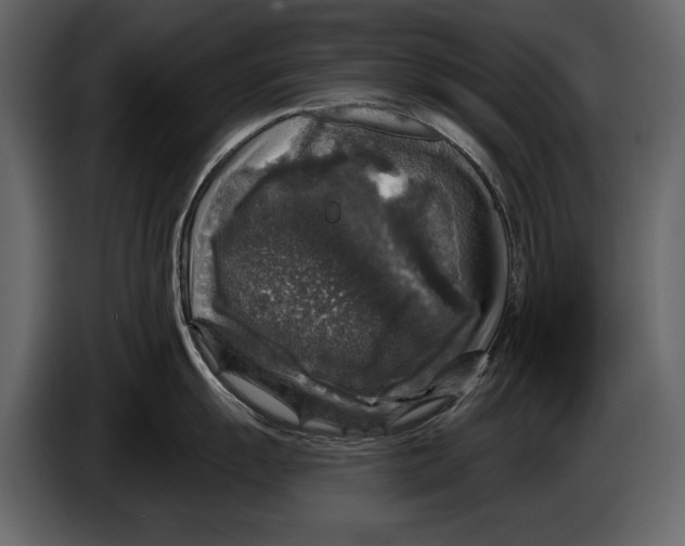 X0000084561055200703231754