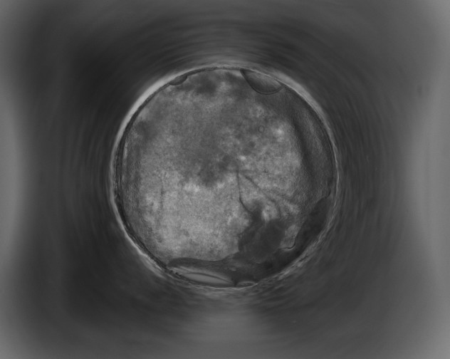 X0000084561056200703231754