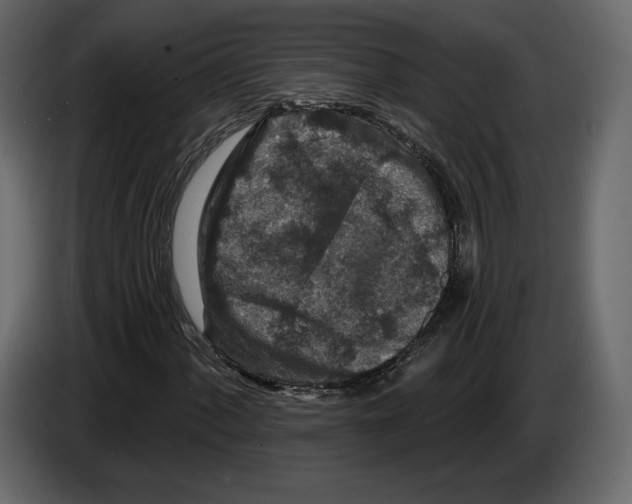 X0000084561060200703231754