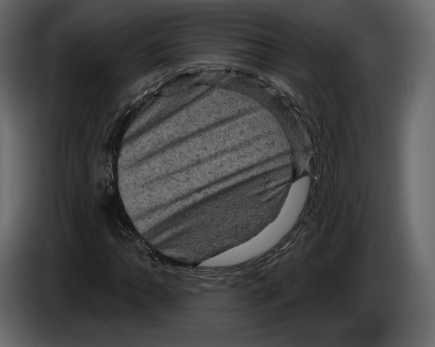 X0000084561062200703231754